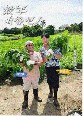 秋霞·综艺大咖秀 秋霞影院